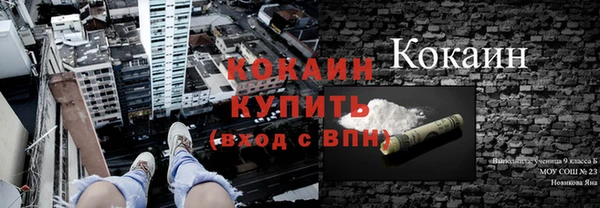 a pvp Алзамай