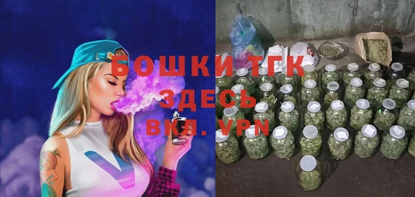 молекула духа Алексеевка