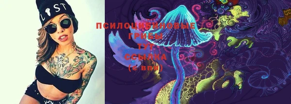 молекула духа Алексеевка